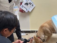 -美联众合动物医院·24h转诊中心