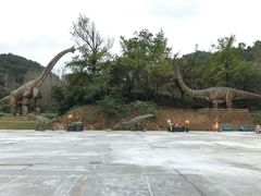 -千年银杏谷文化旅游区