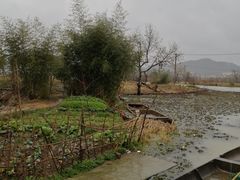 -白塔湖国家湿地公园
