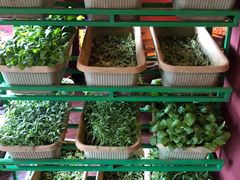 -大匠工房古船木艺术餐厅·猪肚鸡专门店(长白仙岛店)