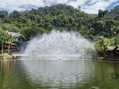 -西双版纳原始森林公园
