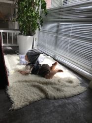 -星宝贝儿童摄影