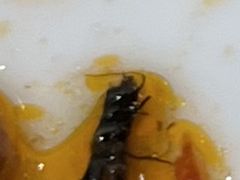 -娱筷海鲜酒家(广州南沙店)