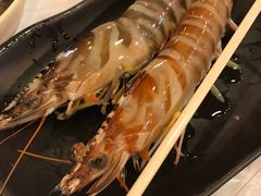 -鲜入围煮花胶鸡海鲜火锅