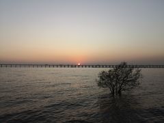 -宝安西湾红树林湿地公园