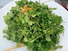 -No.DD戳子烧烤·江湖菜(北京总店)