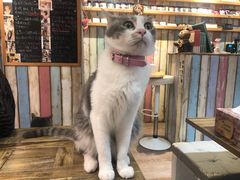 -小时光咖啡馆(开森度假森林店)
