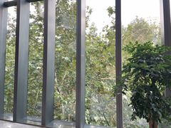 -VIP 威尔仕健身·游泳(嘉华中心店)
