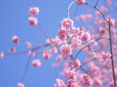 -天龙八部武侠城