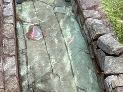 -南越王博物院(王宫展区)