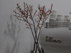 -Eu2+ coffee(上大路店)