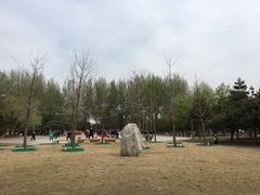 -长春公园(普阳街道)