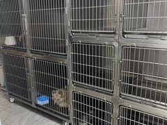 -狗舍宠物医院(四季商业广场店)