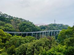 -金鸡山公园
