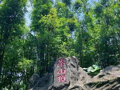 -东莞市大岭山森林公园