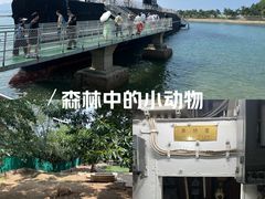 -刘公岛景区