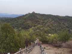 -磬锤峰森林公园