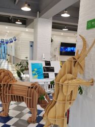 -宝贝天空儿童摄影(花溪店)