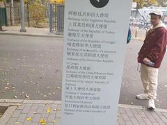 -三里屯东五街银杏大道