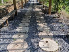 -千年银杏谷文化旅游区