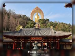 -庐山风景名胜区-东林大佛