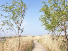 -野鸭湖国家湿地公园