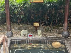 -明月山天沐温泉度假村