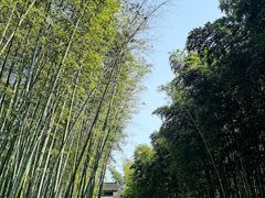 -苏州环秀晓筑养生度假村
