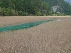 -九寨沟-树正沟