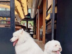 -Nord Grill&Bar Highland诺德西餐(深圳欢乐海岸店)