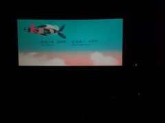 -万达影城(南昌红谷滩IMAX激光店)