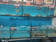 水产区-兆辉木炭海鲜烧烤·海鲜小炒