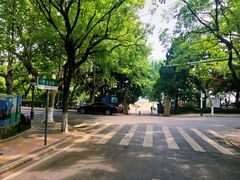-八大关景区