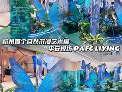-杭州平安悦坊 PAFC LIVING