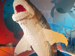 -沈阳海洋探索中心