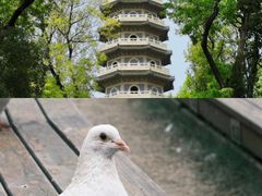 -音乐台