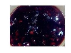 -葛记焖饼(伏牛路店)