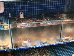 水产区-蟹谢蒸鲜自助餐厅