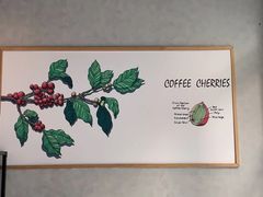 用餐区-瑞幸咖啡(南海万科广场店)