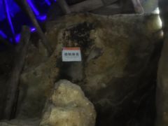 -遂昌金矿国家矿山公园
