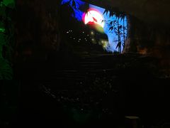 -夜间野生动物园