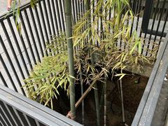 -天怡·鱼工厂(梅溪湖店)