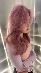 点击看大图 -金棕榈