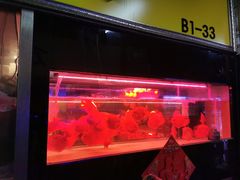 -中环花鸟鱼虫市场