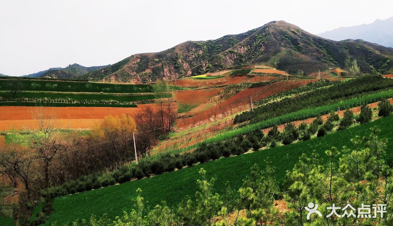 红土地vs油菜花｜秦岭普罗旺斯｜鲍旗寨