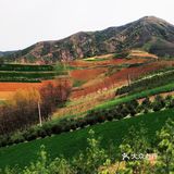 红土地vs油菜花｜秦岭普罗旺斯｜鲍旗寨