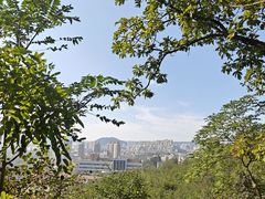 -西尖山公园