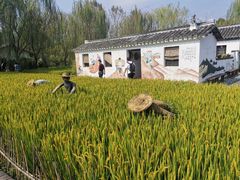 -溱湖国家湿地公园