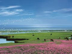 -鄱阳湖国家湿地公园