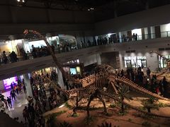 -自贡恐龙博物馆